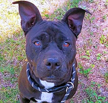 Photo of LUNA