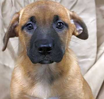 Photo of Lulu