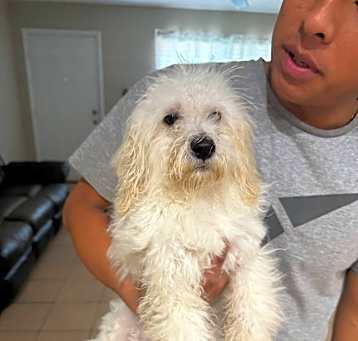 Photo of Casper