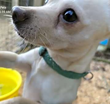 Photo of Bently