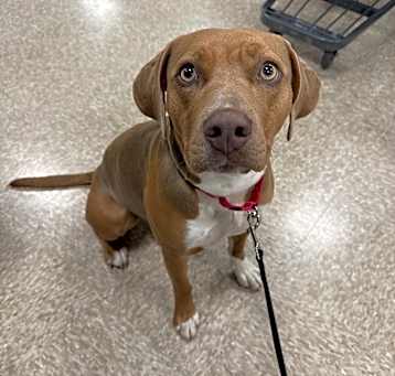 Photo of Roxy 