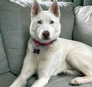 Photo of Meadow