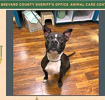 Photo of Murphy