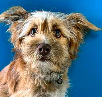 Photo of RYDER