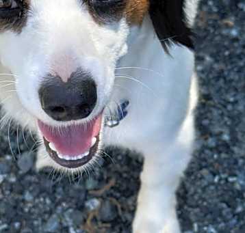 Photo of Bonnie