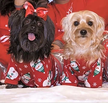 Photo of Tiny&Emma