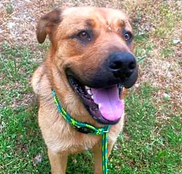 Photo of *ATHENA