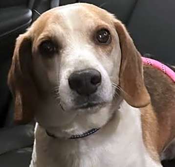 Photo of Champ