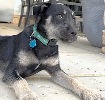 Photo of Dulce