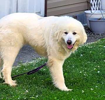 Photo of Maggie