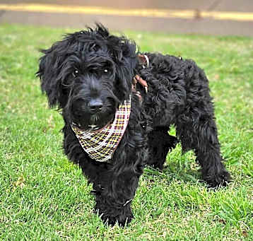 Photo of Jubilee