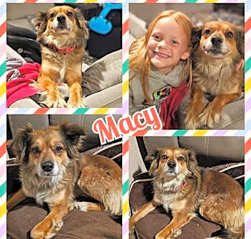 Photo of Macy