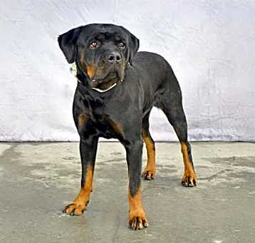 Photo of AYLA