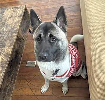Photo of Zara