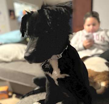 Photo of Holly