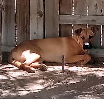 Photo of Doug