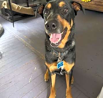 Photo of Jack
