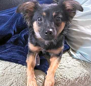 Photo of Nyla