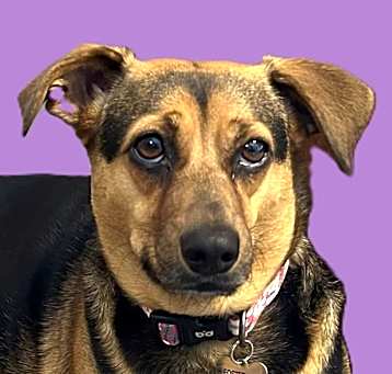 Photo of Izzi