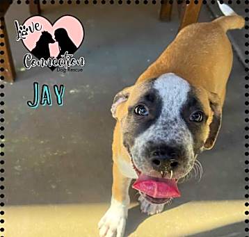 Photo of Jay