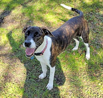 Photo of Oakley
