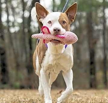 Photo of Cain