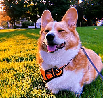 Photo of Wrigley