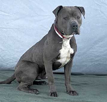 Photo of HERSHEY