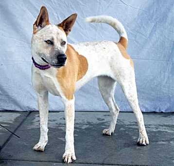 Photo of MOLLY AMERICA
