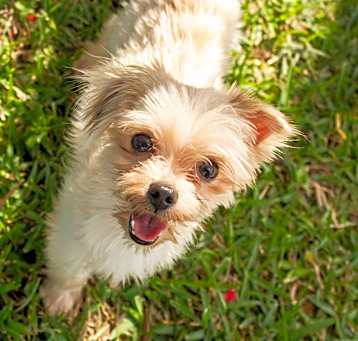 Photo of Snowflake
