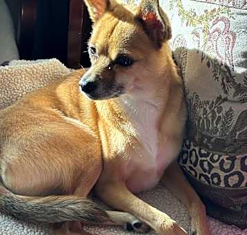 Photo of Gigi