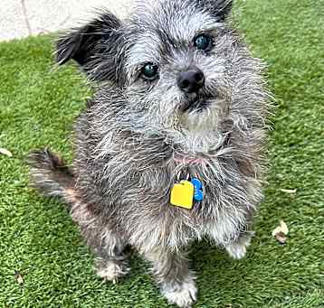 Photo of Mia!