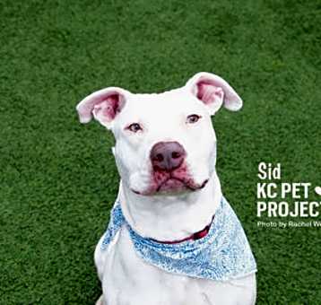 Photo of Sid