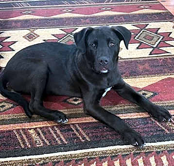 Photo of JuJu