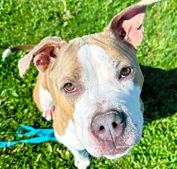 Photo of Aloha