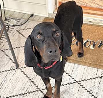 Photo of Hampton