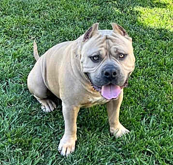 Photo of Zeus