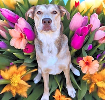 Photo of Delilah Doolittle
