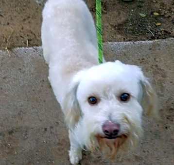 Photo of Charlie