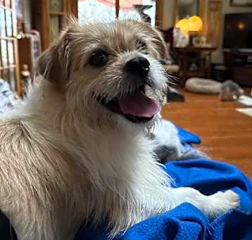 Photo of Fiyero