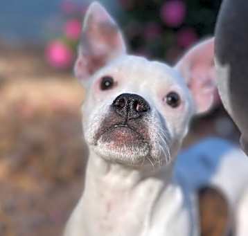 Photo of Malibu