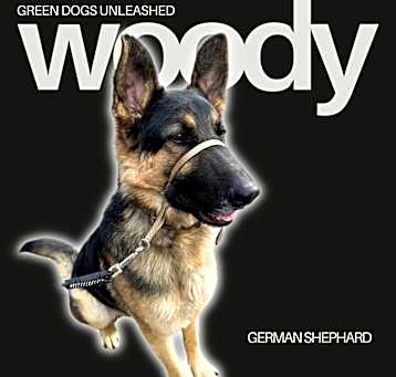 Photo of Woody
