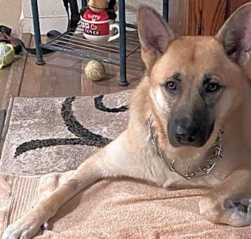 Photo of Ella