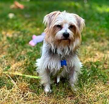 Photo of Zeus