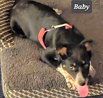 Photo of Baby
