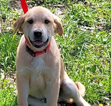 Photo of DiNozzo