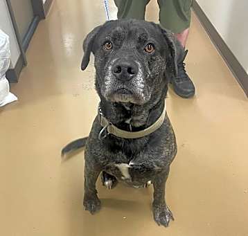 Photo of Jughead
