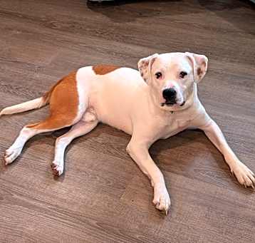 Photo of Max