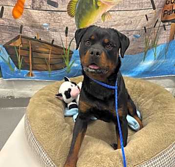 Photo of ZEUS