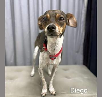 Photo of Diego